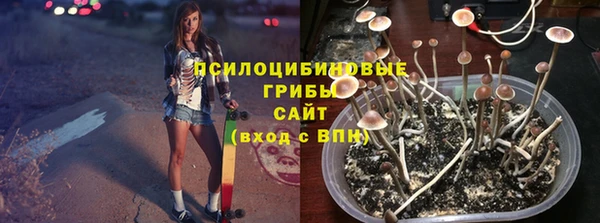 сатива Богородицк