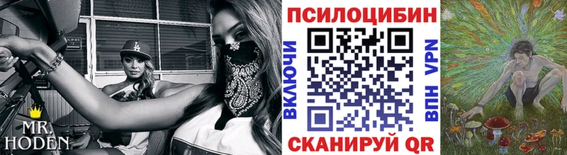 Псилоцибиновые грибы Cubensis  Мамадыш 